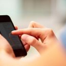 모요(MoYo) 이미지