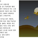 연민 이미지