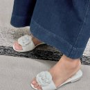 까멜리아 이미지