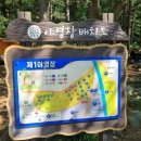 가평 캠핑장 추천 유명산 자연휴양림 캠핑장 준비사항과 계곡