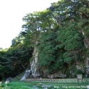 선운사꽃무릇 이미지