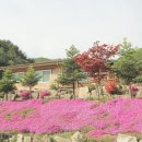 이화펜션 | [공지] 이화펜션을 소개합니다 :)