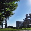 정발산역 이미지