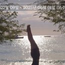 부림동010 | [공지] 요가하라(호계점, 범계역점) 12월 시간표 및 공지사항 /석수동요가원 , 부림동체형교정