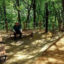 양산팔경 금강둘레길 이미지