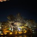 경주한복판