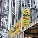 난꽃뿐이네 | W. 대구 상견례 선물ㅣ호접란 가격 현대난꽃전문점 추천 셀프 보자기 포장