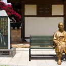 울산EDA승마장 이미지