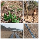 골짜기농장 이미지