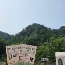 울렁다리 화장실 | [원주] 원주 가볼 만한 곳 소금산 그랜드밸리/ 출렁다리, 울렁다리 방문 후기