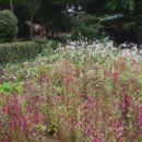 크린데이 이미지