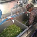 도이2리 이미지