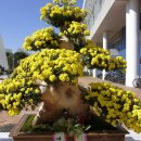 광주광역시청 B 이미지