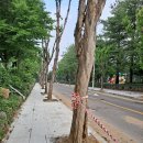 장성중학교 이미지
