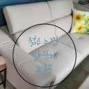 삼익(아) 이미지