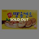 국희마켓
