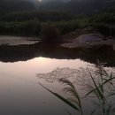 은석농장 이미지