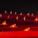 나무향기 이미지