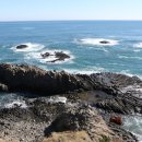 양남주상절리 이미지