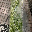 (주)1004마트