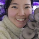 두리버섯농원
