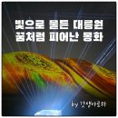 대릉원 | 경주 대릉원 몽화 미디어아트 후기, 스탬프 투어 코스 및 운영시간 총정리