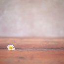 Soo-J 행정사사무소 이미지