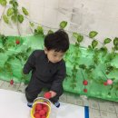 두언농장 이미지