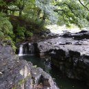 정덕계유 사마방목 이미지