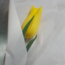 수선화플로리스트파크 네이버블로그