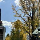 농부바게트 | 2025 서울미식마켓 with 마르쉐 | 농부시장마르쉐 | 다회용기 할인정보 내돈내산 방문 후기