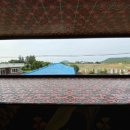 세화다방