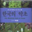 한국의약초