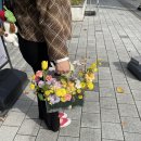 주빌리플라워