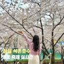 커브스잠실나루클럽 | 잠실 석촌호수 벚꽃 축제 실시간 거미, 데이브레이크 롯데월드 뷰 드론