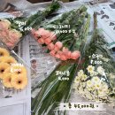 [내돈내산] 고속터미널 꽃시장 셀프 부케 만들기 (장미, 거베라) 5만원도 안들고 해결!