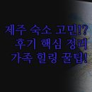 카세로지 | 제주 숙소 선택 고민 끝 | 카세로지 소노캄 해비치 | 솔직한 실제 후기 분석 | 완벽한 힐링 가족 호캉스...