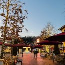 프라다 | 여주 신세계 프리미엄 아울렛 프라다 웨이팅 후기