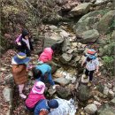 숲어린이집 이미지