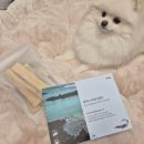 아씨네간식 | 핏펫 잇츄 제주산 강아지 동결건조 간식 | 제주산 수제간식 제주 서귀포 은갈치 급여 후기