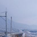 장본대교