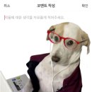 연합안경 | 군체 후기 | 부제: 내가 시네필이 될 수 없는 이유