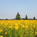 구미강정 이미지