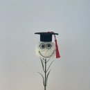 성일스튜디오 이미지