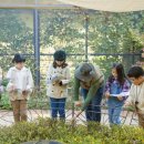 키즈포레스트 이미지