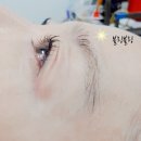 블링블링 속눈썹