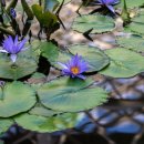 미담한의원 이미지