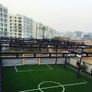 플레잉스포츠 이미지