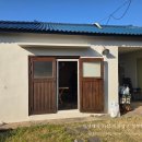 퐁낭거리 이미지