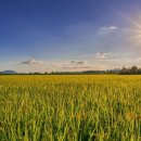 가정공인중개사사무소 이미지